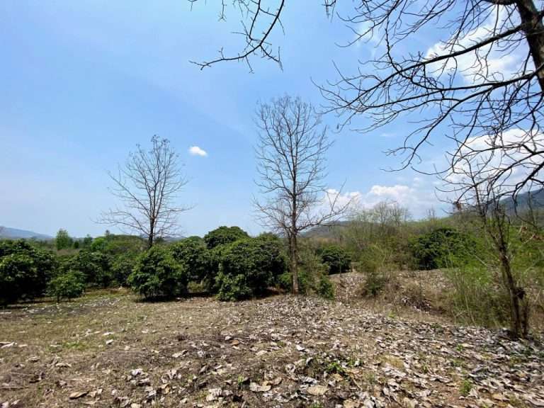 Land for sale on hill with beautiful view  appox. 16 rai , Mae-On, Chiang Mai
