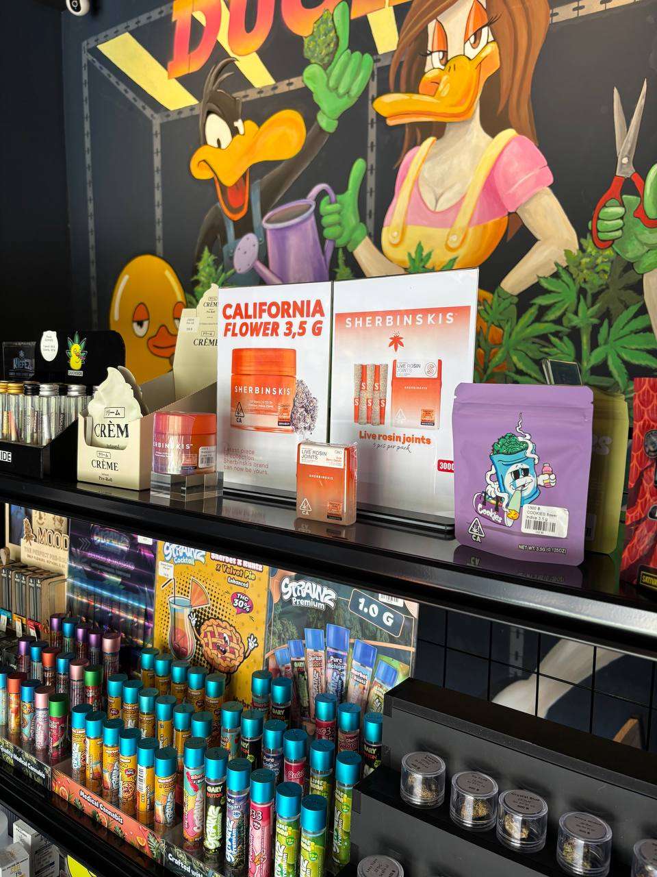 photo 2569 03 12 10 02 05