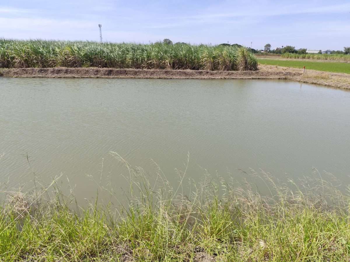 Large land on sale very cheapest at Nakhon Pathom ขายที่ดินแปลงใหญ่ นครปฐม เกือบ 10 ไร่