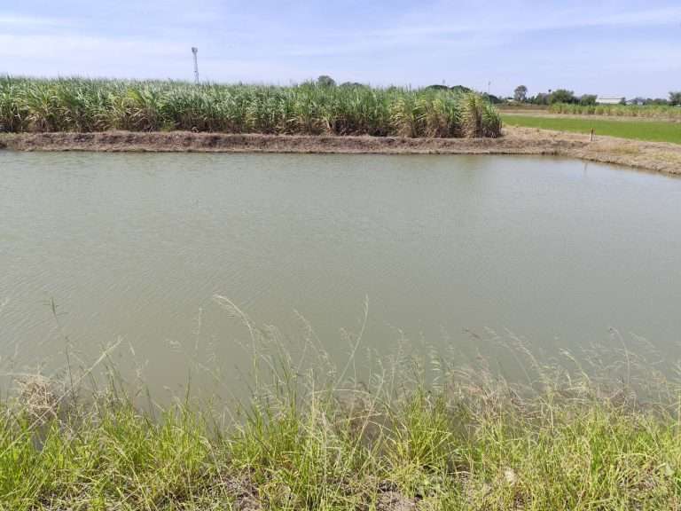 Large land on sale very cheapest at Nakhon Pathom ขายที่ดินแปลงใหญ่ นครปฐม เกือบ 10 ไร่