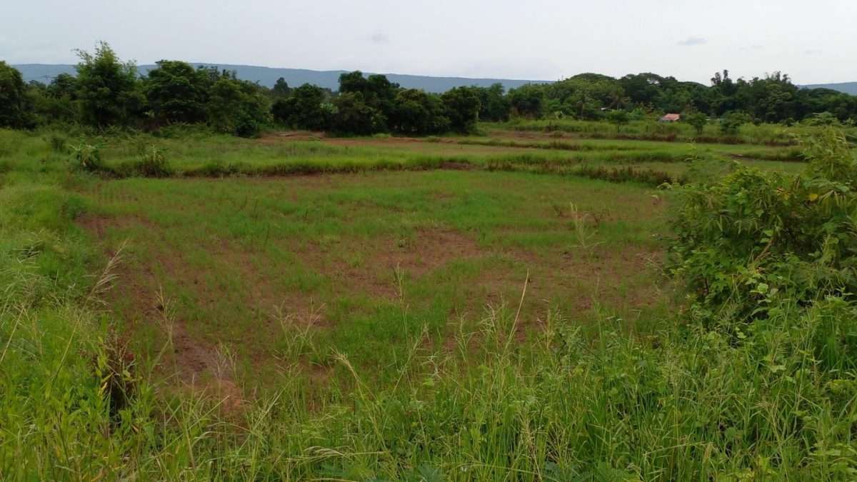 Land for Rent – 8 Rai, Prime Land with water & electricity in Mueang Nong Bua Lamphu, Thailand — photo 3