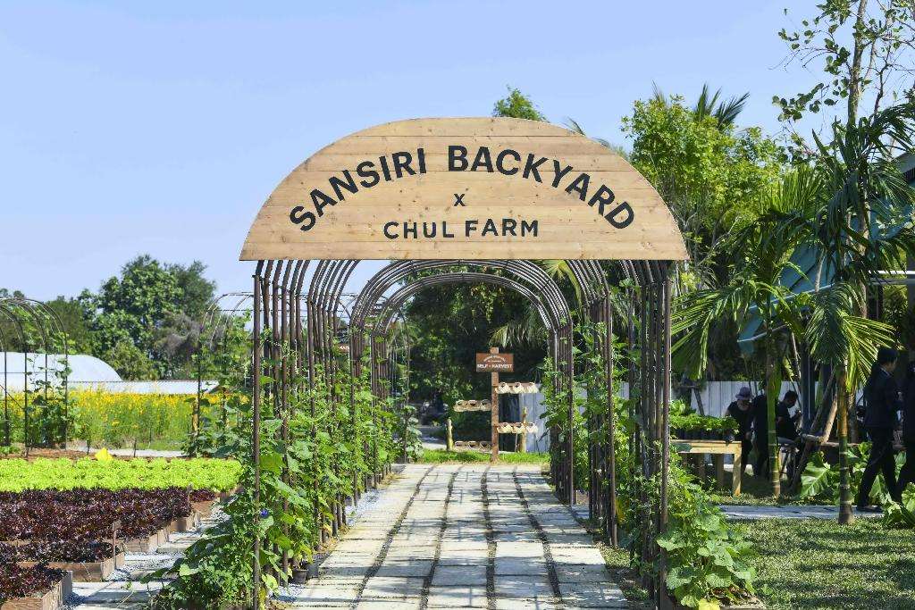 258965211 1363586767418360 4729835870404674526 n