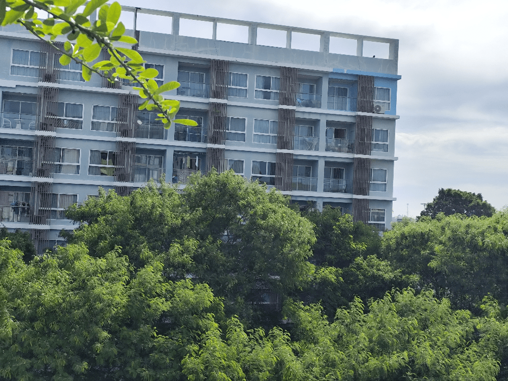 optimized image (28)