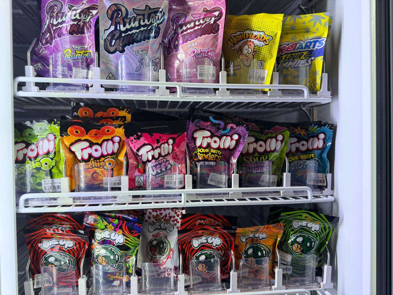 photo 2569 03 12 11 03 06