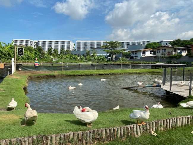 260107433 1583529425356049 427815573336645356 n