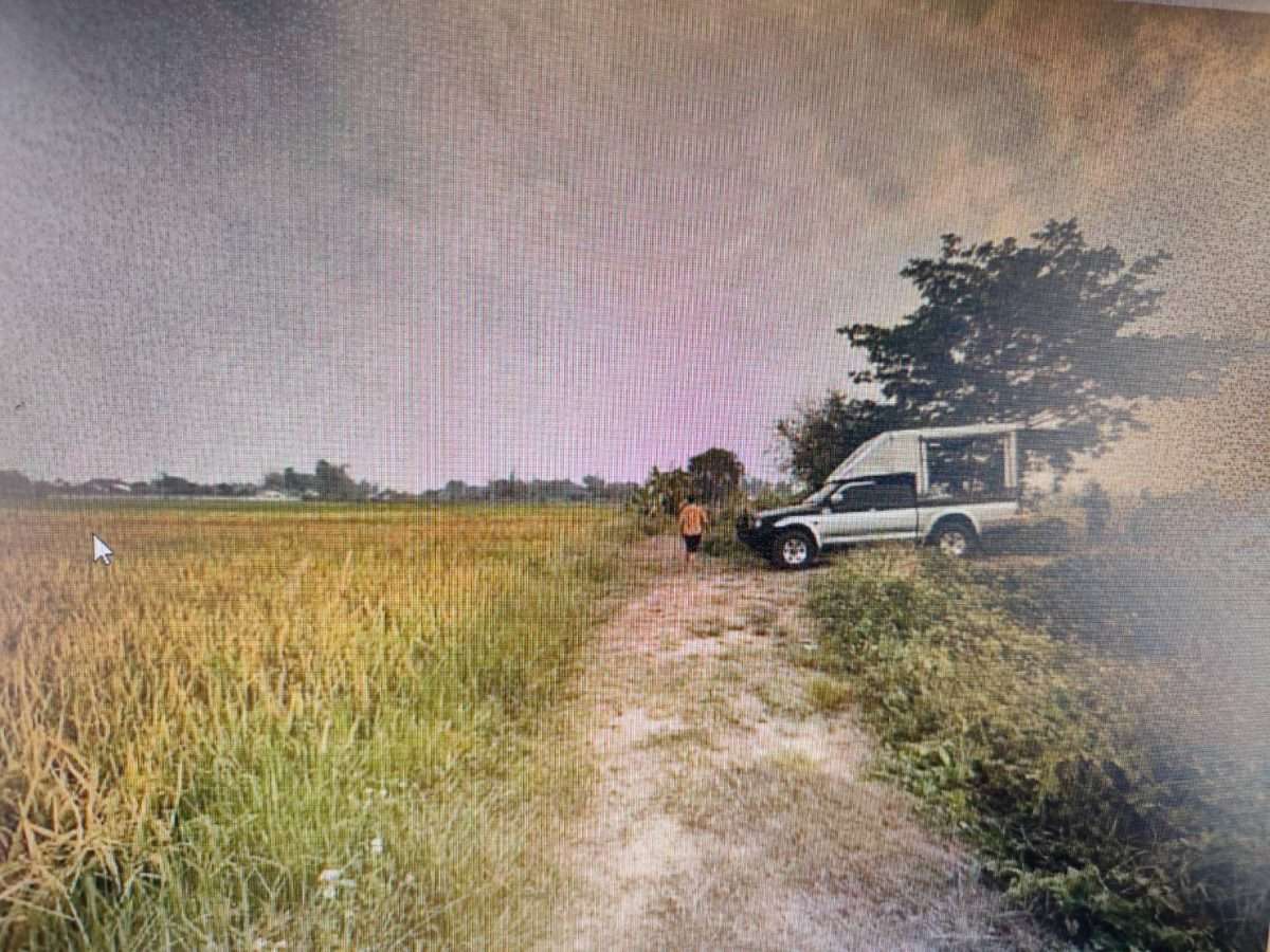 sale farm land in Doi Saket,Chiang Maiขายที่ดิน ทุ่งนา เชียงใหม่ — photo 2