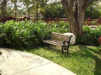 สนามหญ้า 0