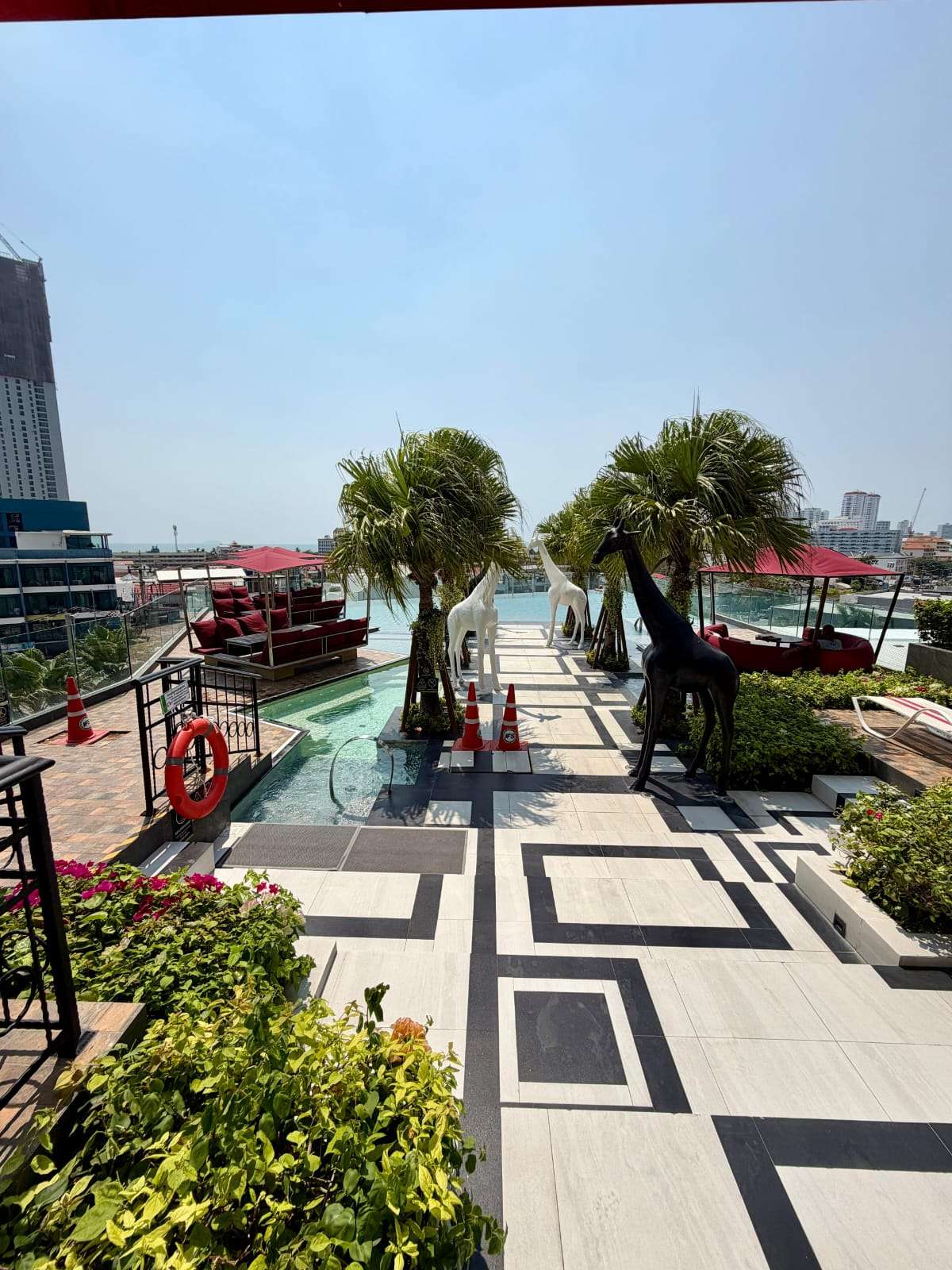 Swimming Pool Area