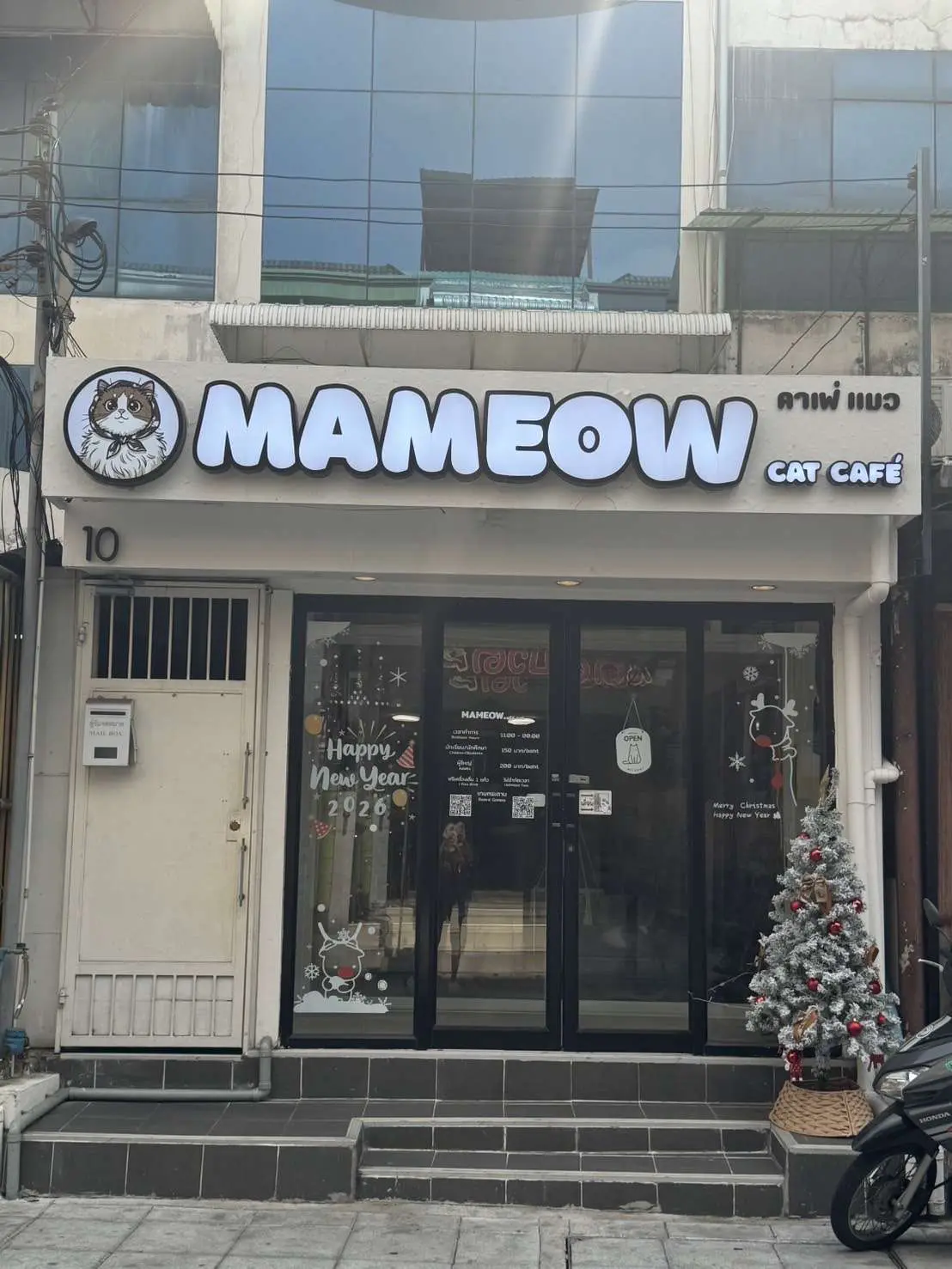 Mameow Cat Café for Takeover in Bangkok – 150+ Google Reviews, 5-Star Rating — photo 1
