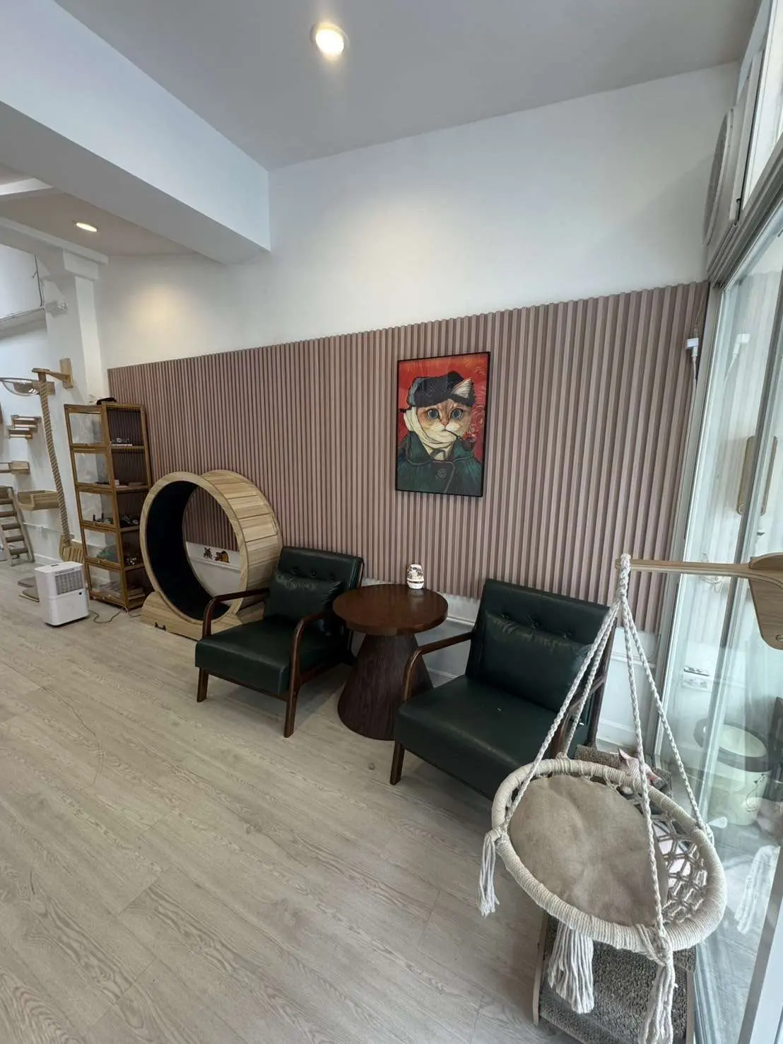 Mameow Cat Café for Takeover in Bangkok – 150+ Google Reviews, 5-Star Rating — photo 2