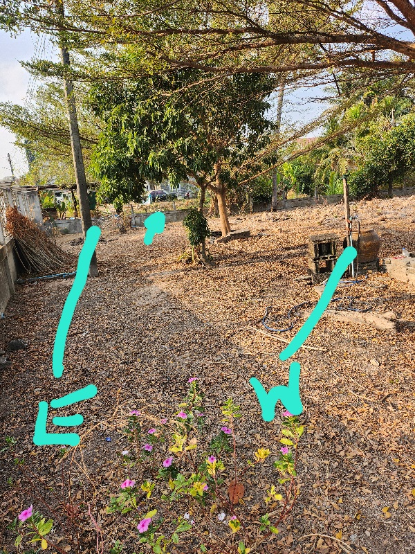 Land 3