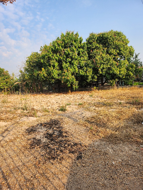 land 17 - Copy (2)