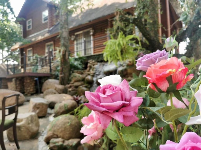 SELLING BUSINESS SMALL RESORT AND RESTAURANT GARDEN IN CHINAG MAI Resort for sale very beautiful San Kamphaeng Chiang Mai