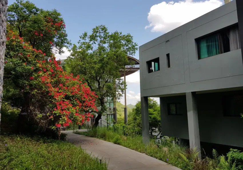 รูป The Pano เขาใหญ่ studio (10)