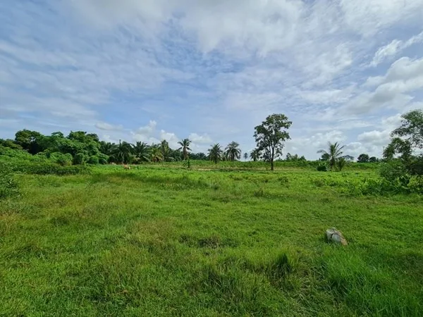 Land for Sale in Chark Ngaew Land — photo 2
