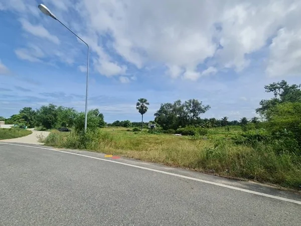 Land for Sale in Chark Ngaew Land — photo 3