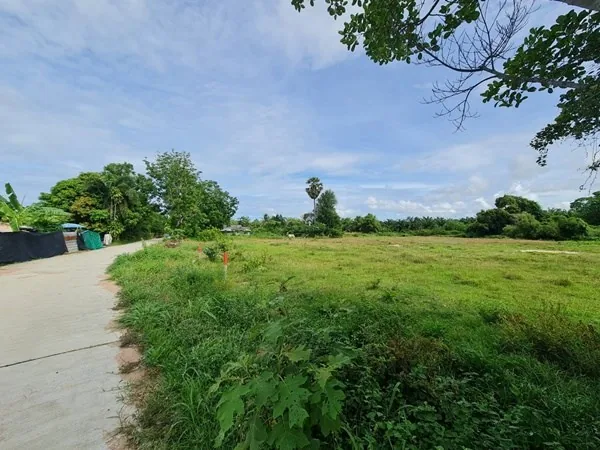 Land for Sale in Chark Ngaew Land