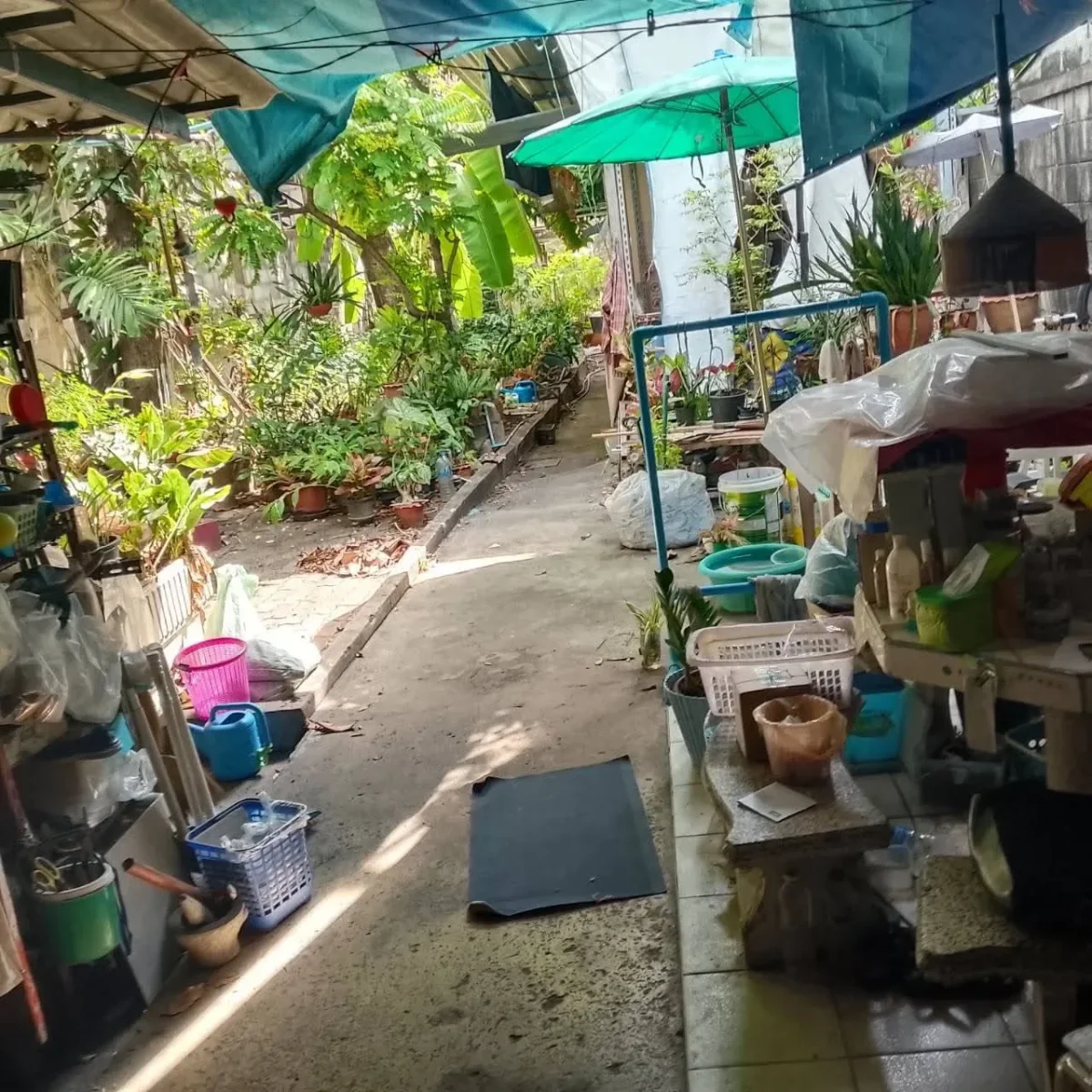 Commercial building for sale 99 square wa (approximately 396 square meters)between Udom Suk and Punnawithi. — photo 3