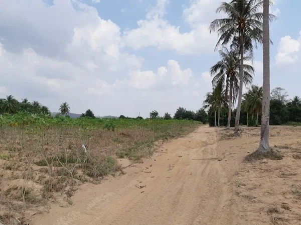 Land for Sale in Huay Yai — photo 2