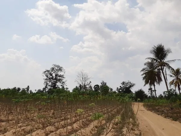 Land for Sale in Huay Yai — photo 3