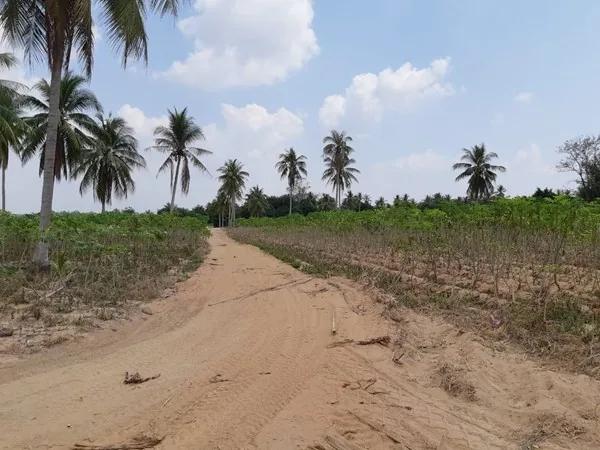 Land for Sale in Huay Yai